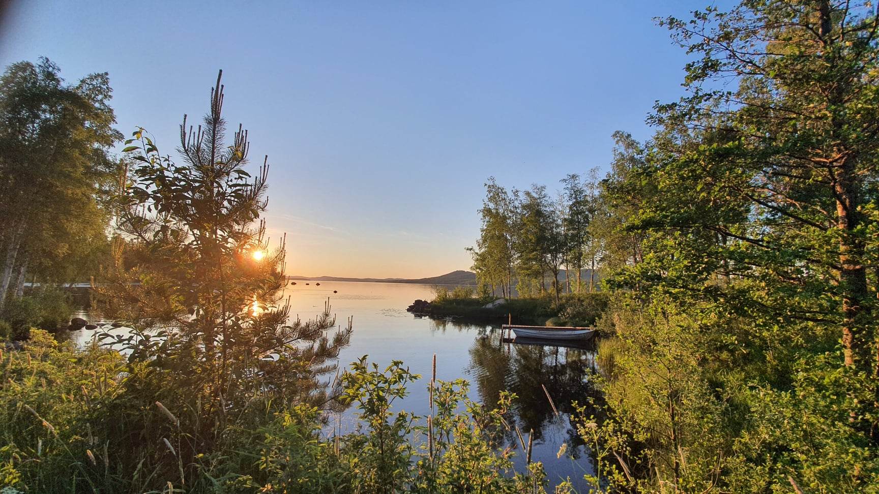 solnedgång skogsand