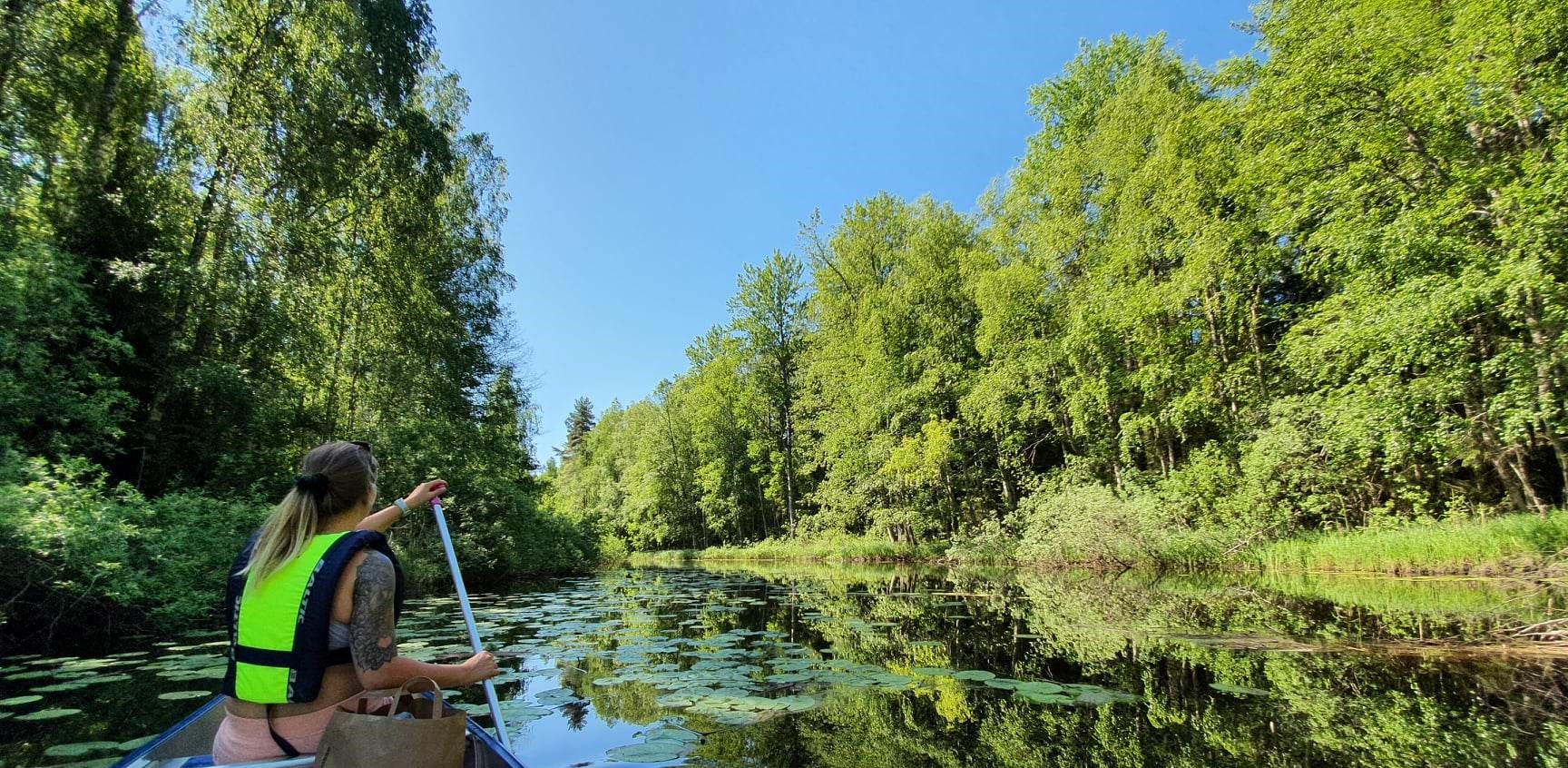 Paddling i Ödmårdens kanotled 