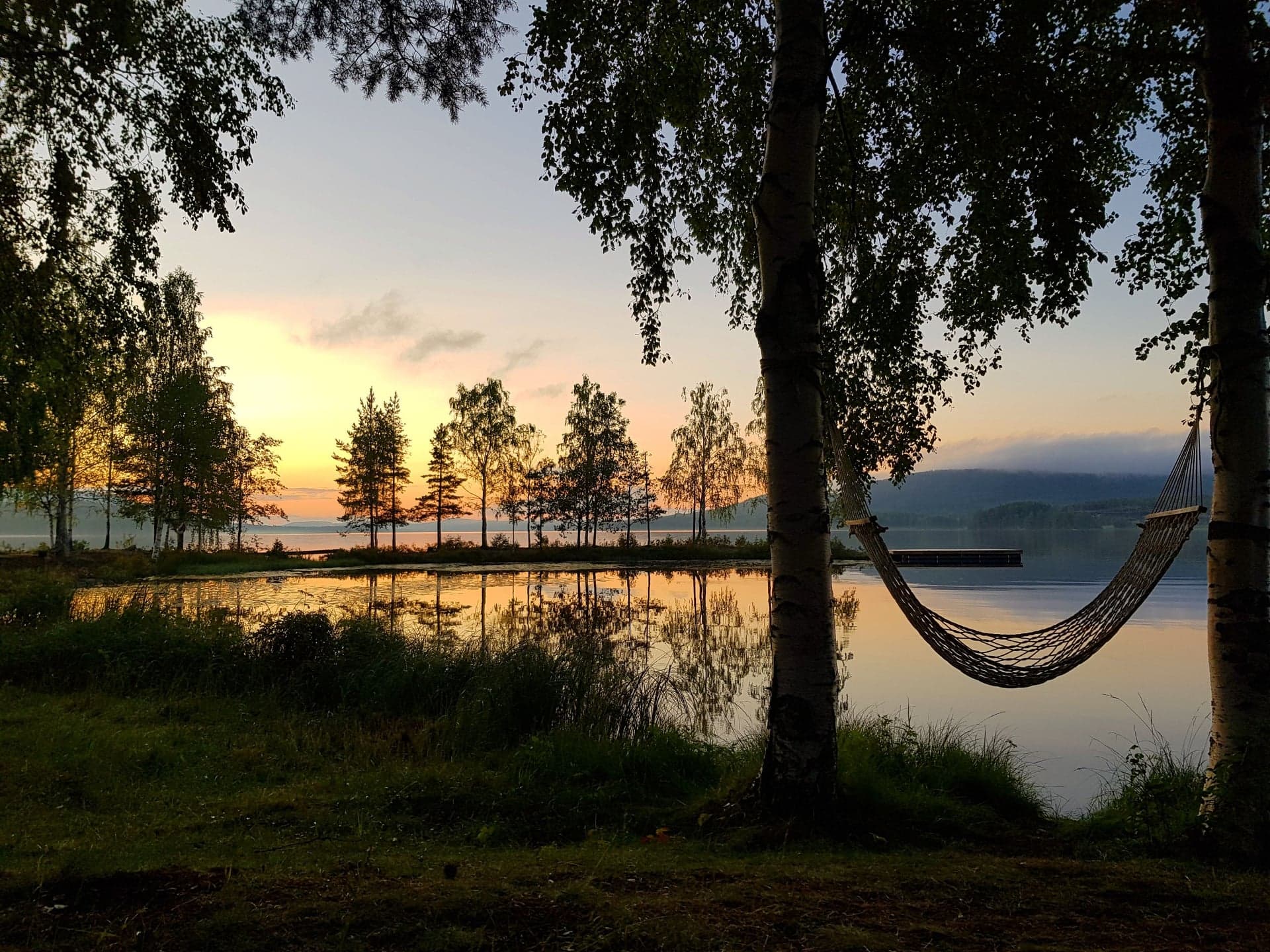 solnedgång skogsand