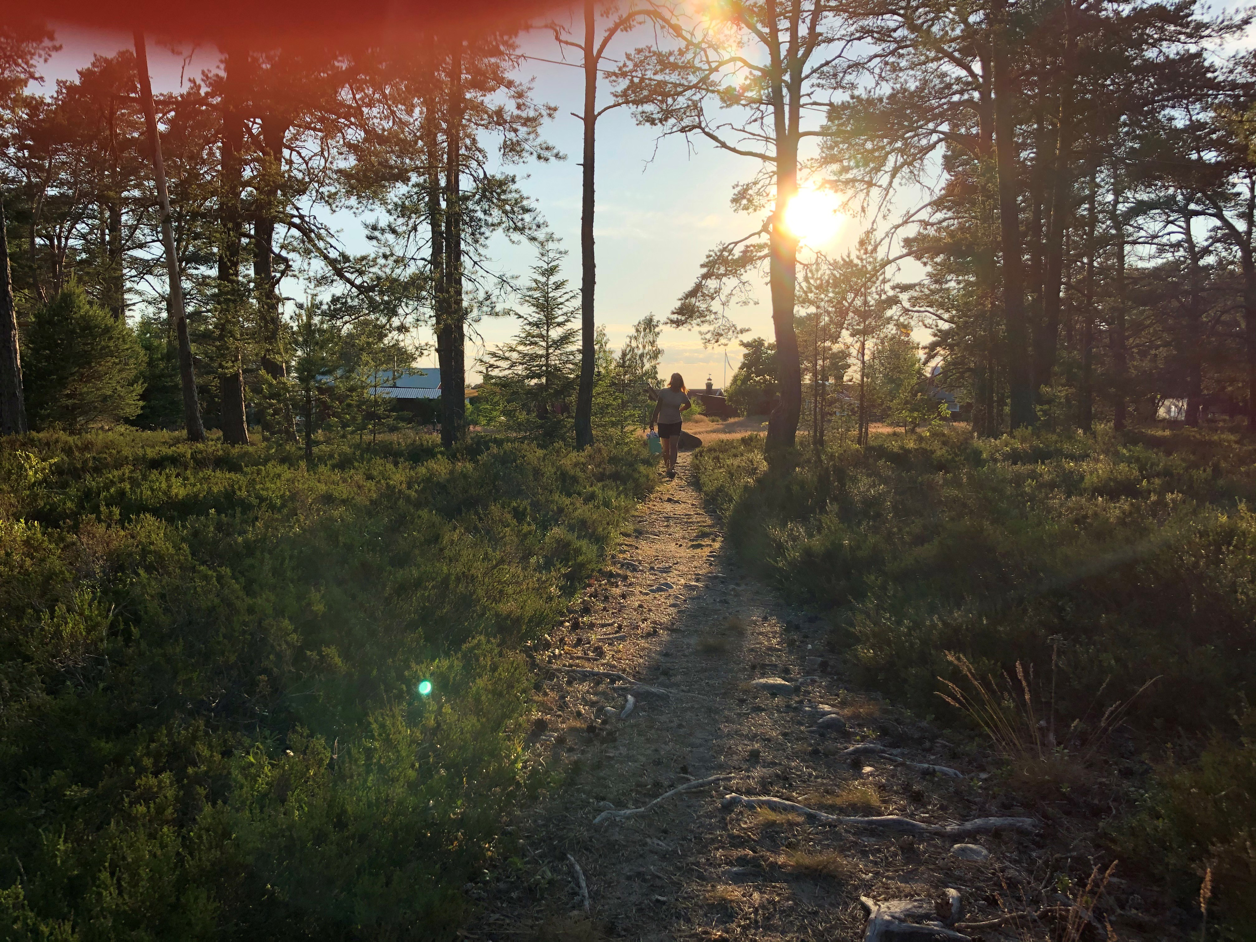 En stig att strosa på ön Enskär