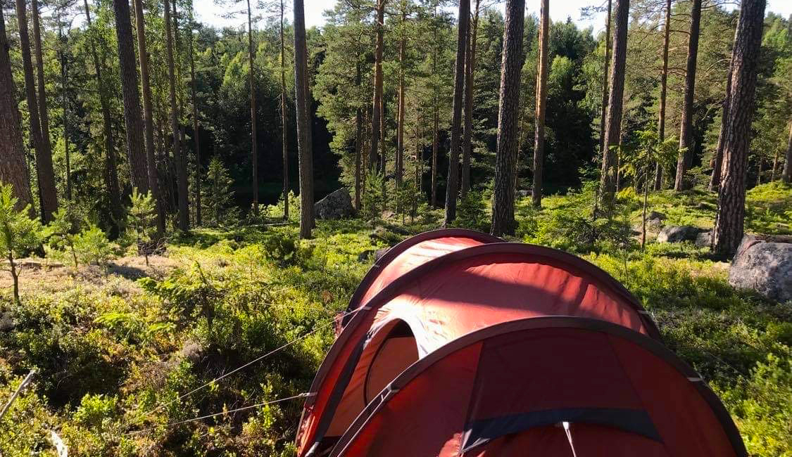 Ett rött tält i skogsmiljö