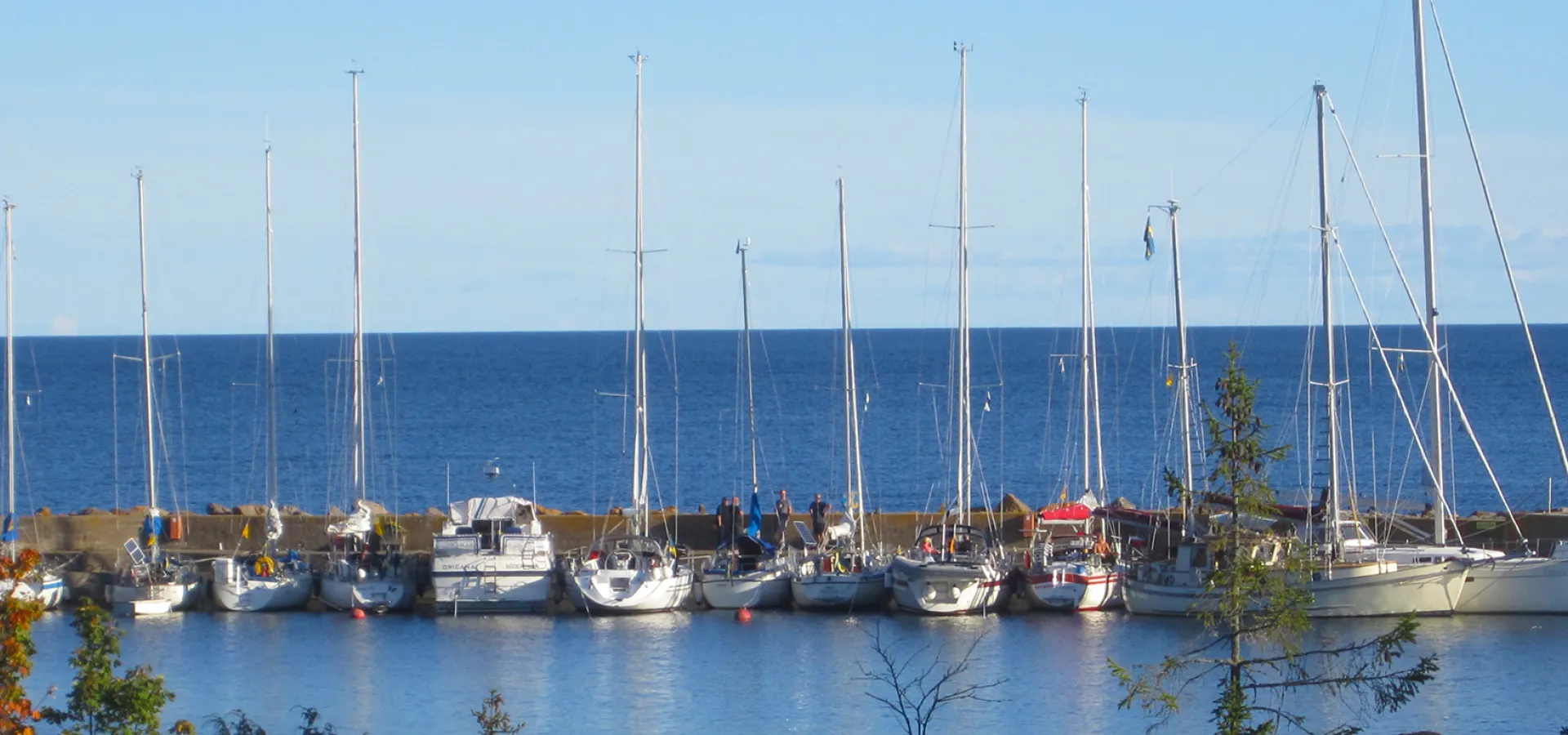 I fyrhamnen finns många segelbåtar.