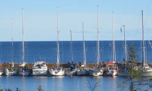 I fyrhamnen finns många segelbåtar.