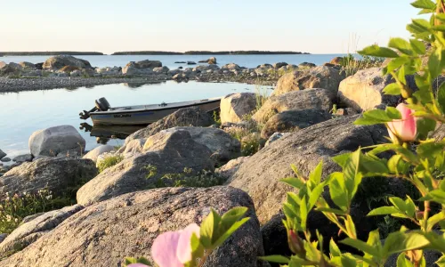 Skärgård och båtliv