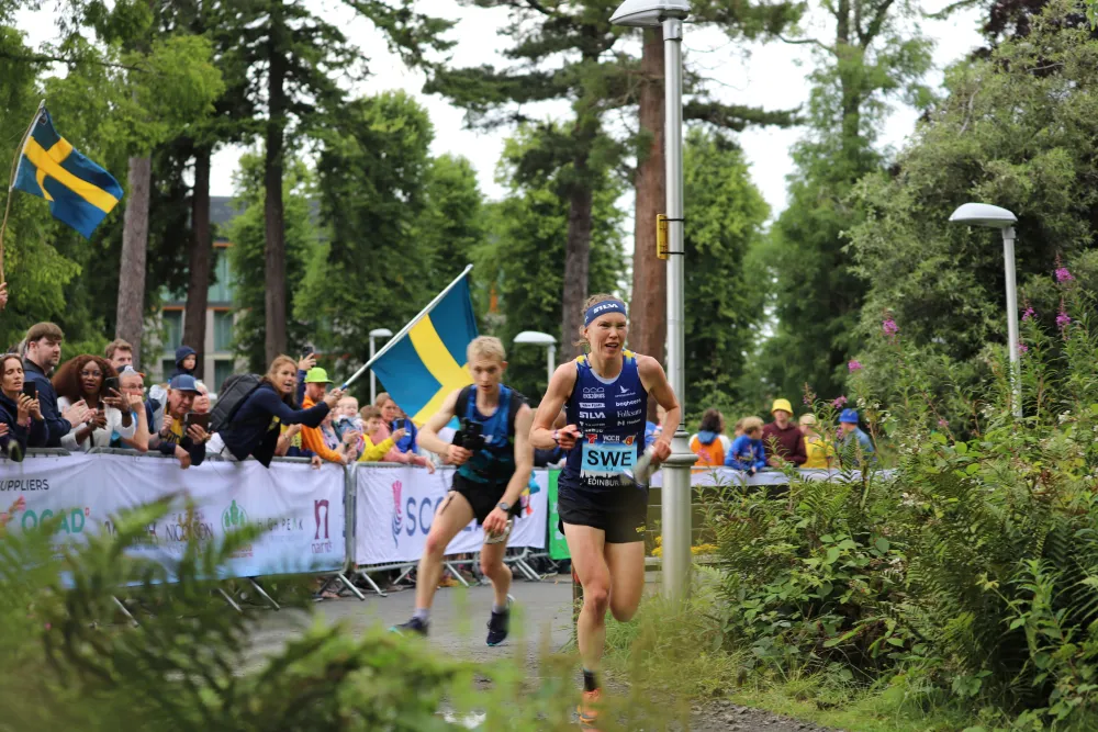Svensk orientering