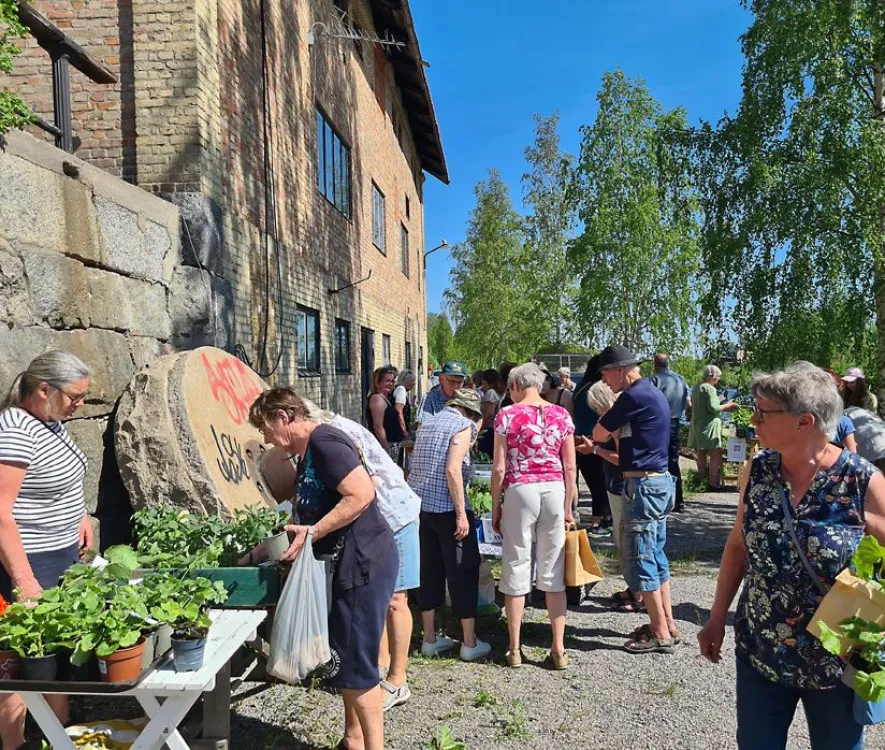 Trädgårdssöndag på Bergviks Industrimuseum