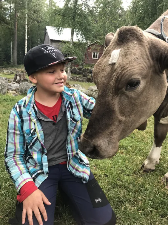Pojke med Gullan