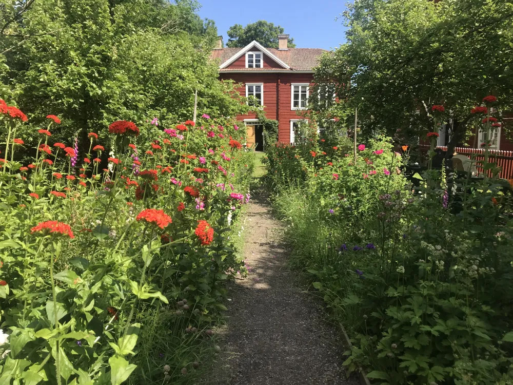 Trädgårdsscen - Ulrika Beijer & Kristofer Sundmans Kvartett