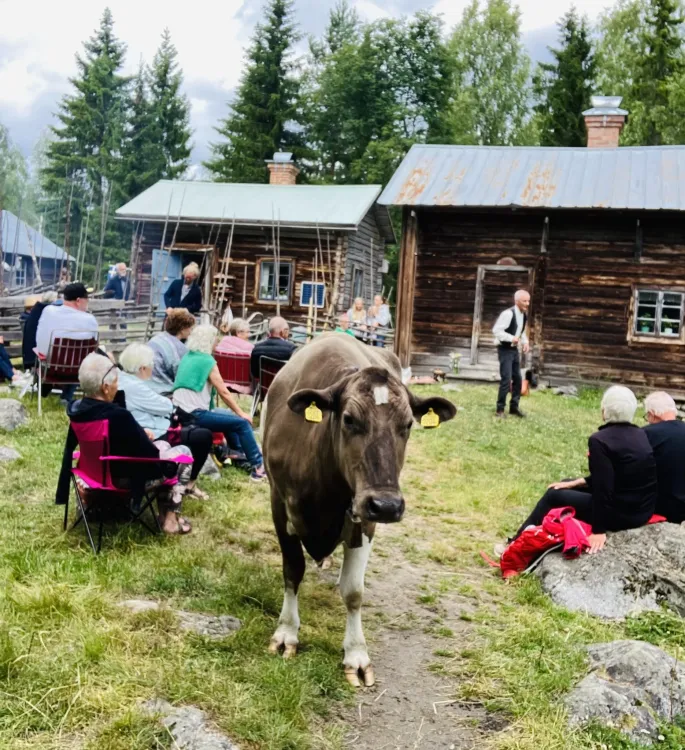 Jazztoner på Krype fäbodvall