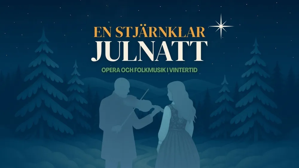 En stjärnklar julnatt