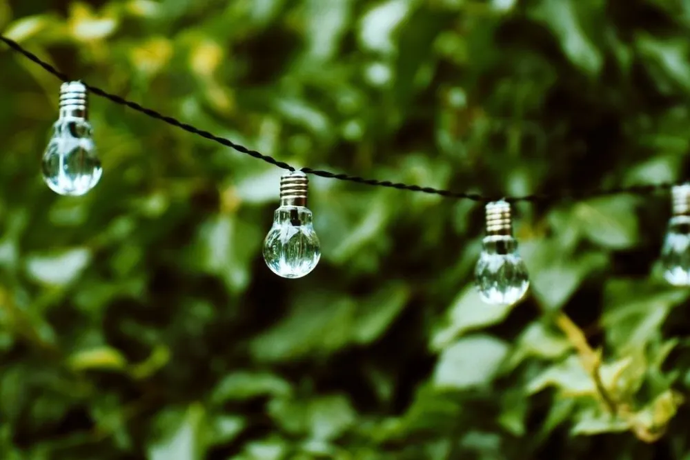 Lampbild