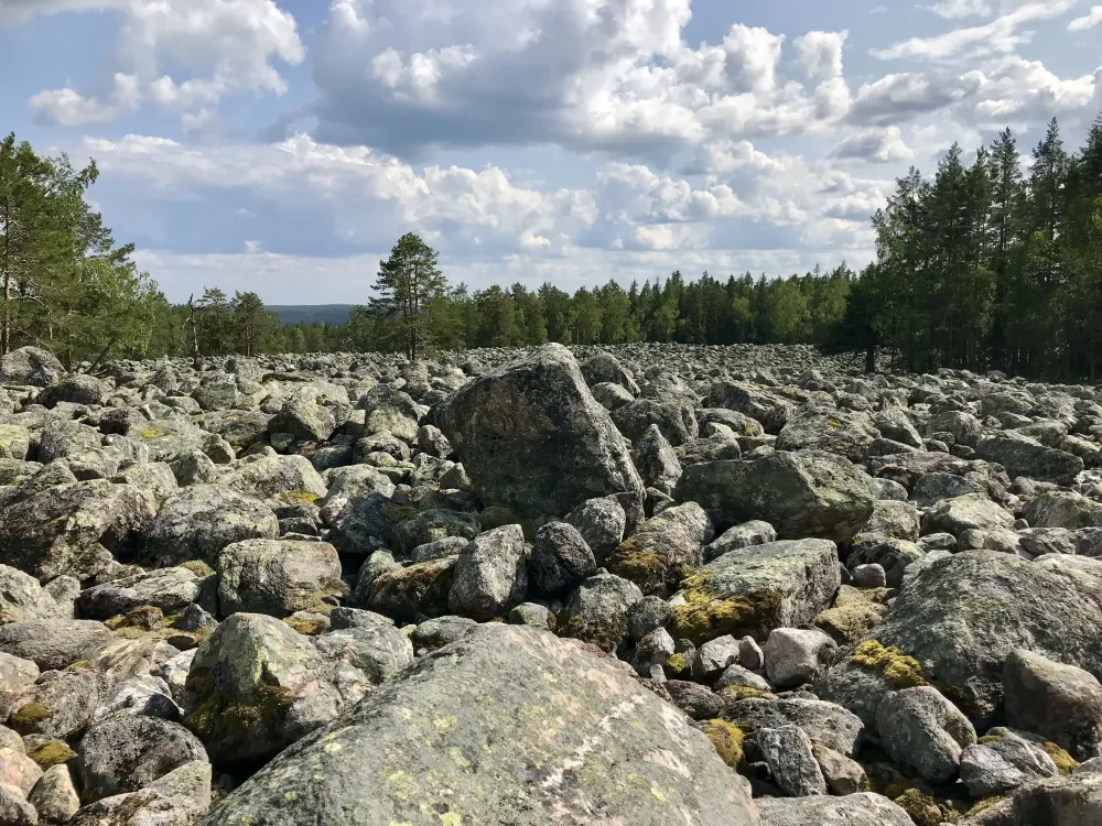 Ett stort klapparstensfält på Sagberg
