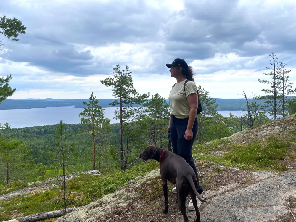 Vandring med hund upp till utsikten över Bergviken från Hamnäs