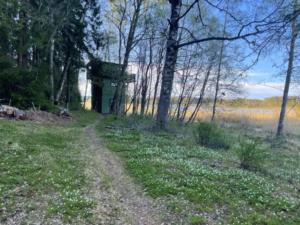 Det gröna fågeltornet vid Ålsjön naturreservat