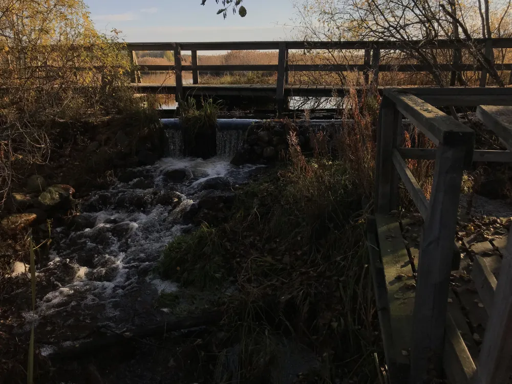 Bro vid Ålsjön naturreservat