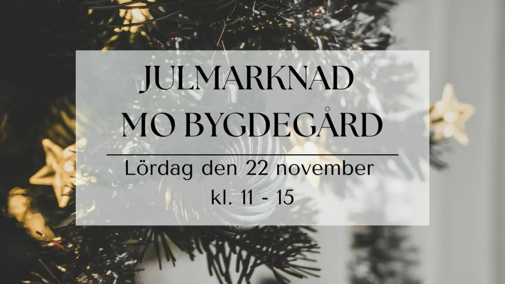 Julmarknad På Mo Bygdegård
