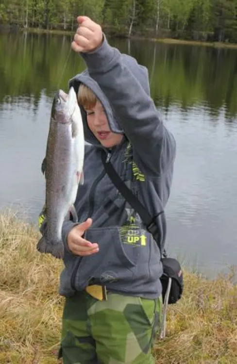 Trönö fvo fiskevårdsförening Hälsingland fiska