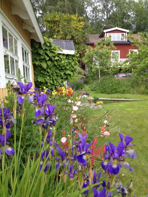 Klapparvikens B&B
