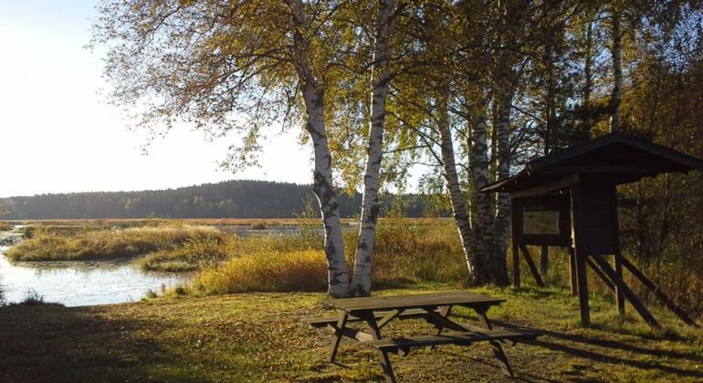 Vid Ålsjön kan du sätta dig och fika alldeles vid strandkanten och sedan följa spången bort längs sjön