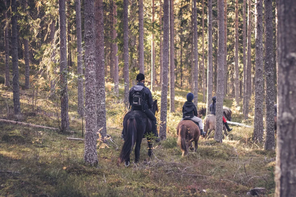 Hälsinge Ridupplevelser