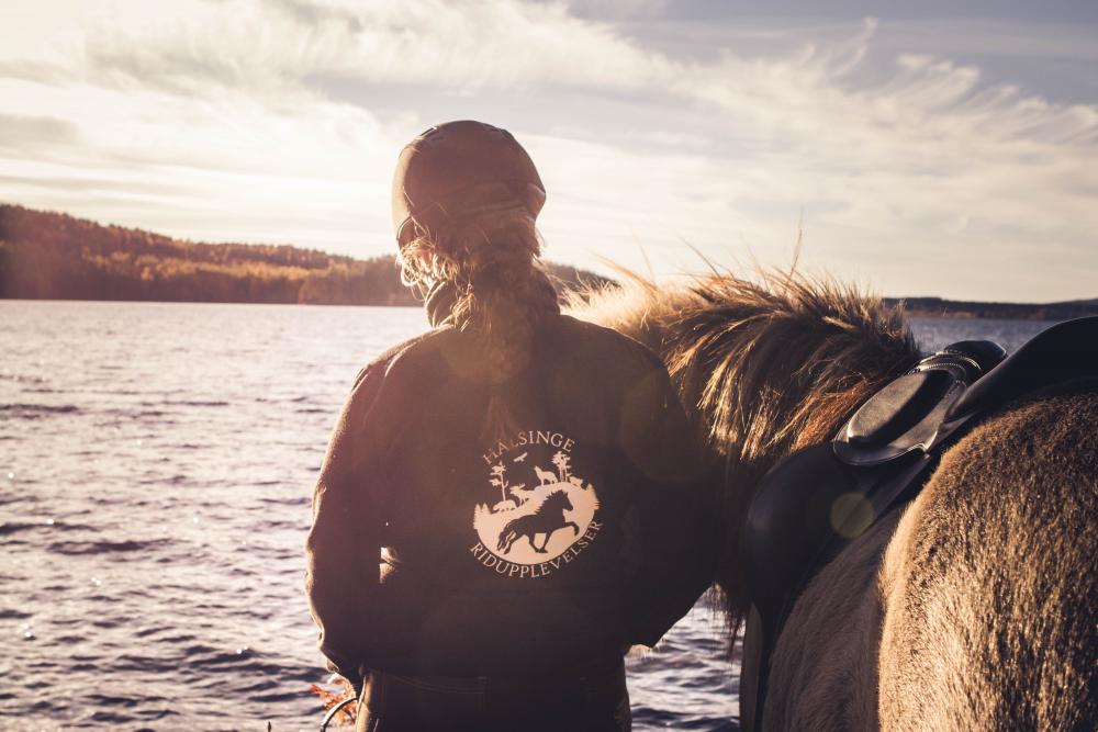 Hälsinge Ridupplevelser Hälsingland Rida Islandshäst Riding Sweden
