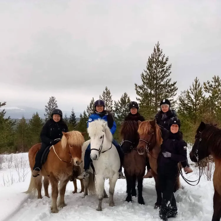 Hälsinge Ridupplevelser Hälsingland Rida Islandshäst Riding Sweden