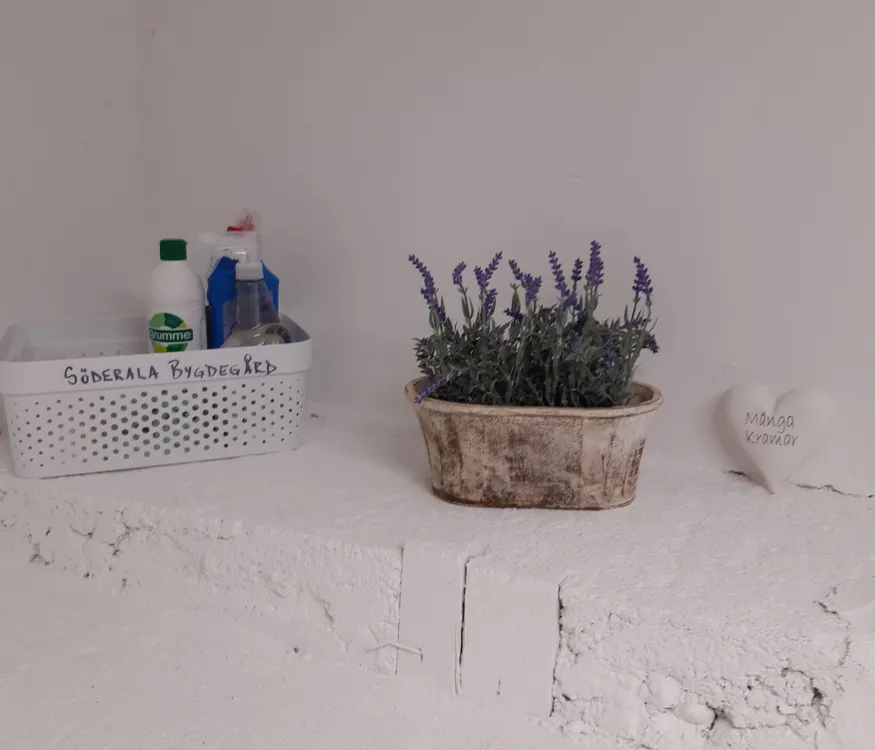 Kruka med blommor