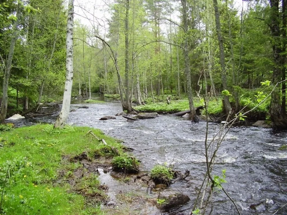 Trönö Övernattningsrum
