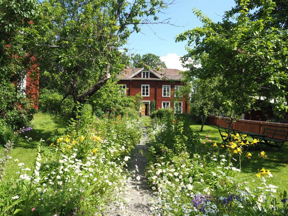 Trädgården på Hälsingegården Erik-Anders