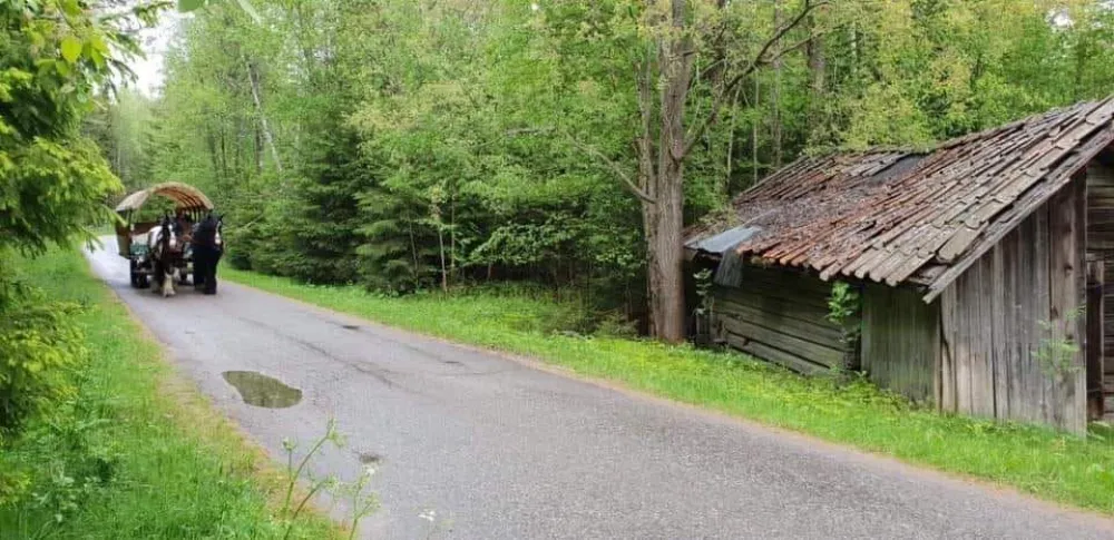 Tur med häst och vagn