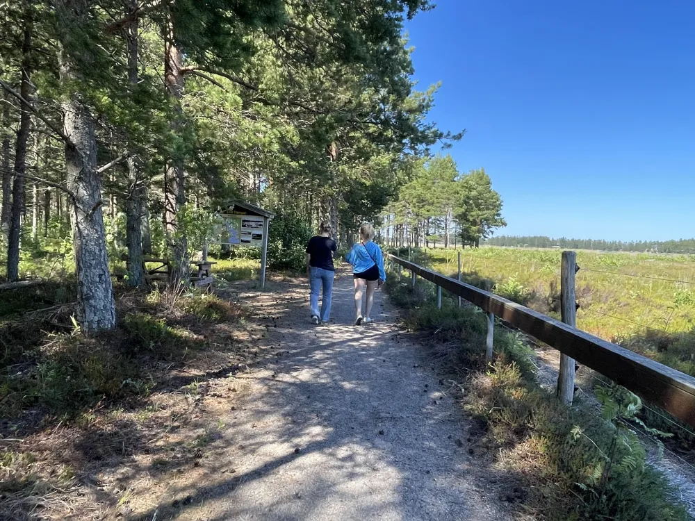 Naturreservat Stenöorn 