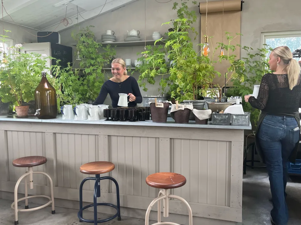 Månses Design Restaurang och Café