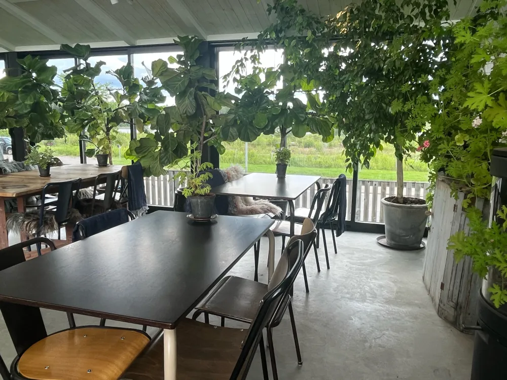 Månses Design Restaurang och Café
