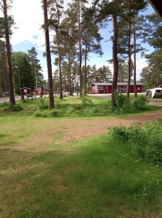 Moheds camping