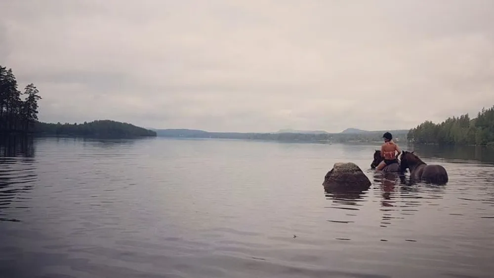 Hälsinge Ridupplevelser Hälsingland Rida Islandshäst Riding Sweden
