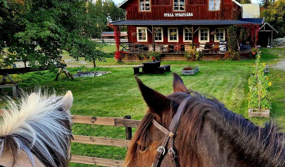 Stall Stråtjära Bed & Breakfast 