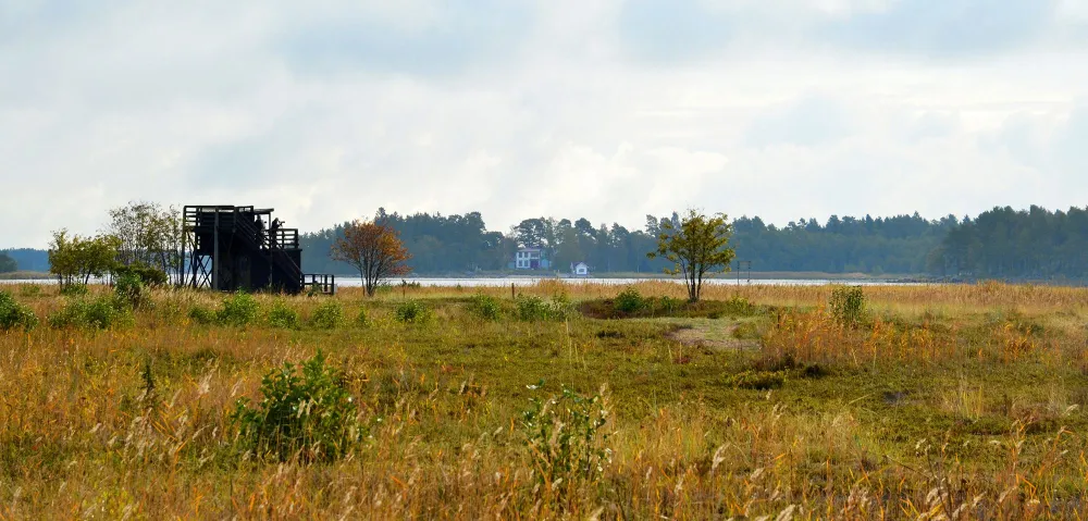 Naturreservatet Stenöorn