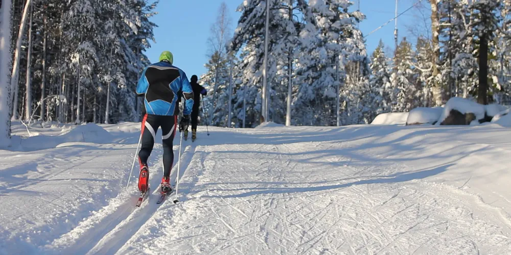 Cross-country skiing 
