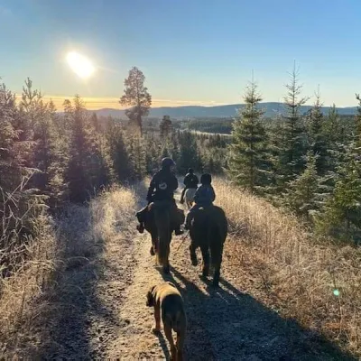 Ridtur på islandshäst i vinter Hälsingland