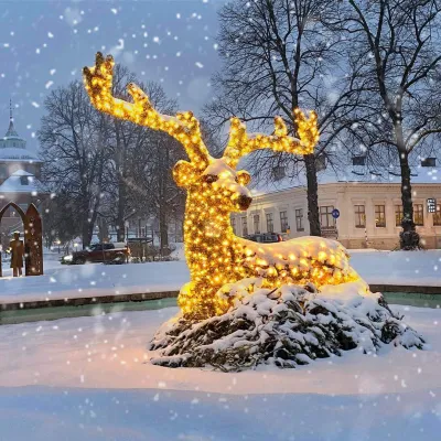 Julstämning och vinter i Rådhusparken