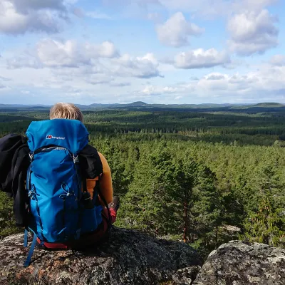 Vy med härlig skogsutsikt