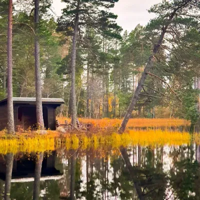 Mysigt vindskydd vid Pipsjöleden