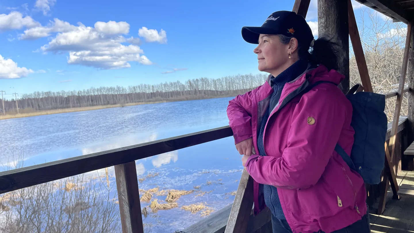 Elin vid fågeltornet Ålsjön naturreservat
