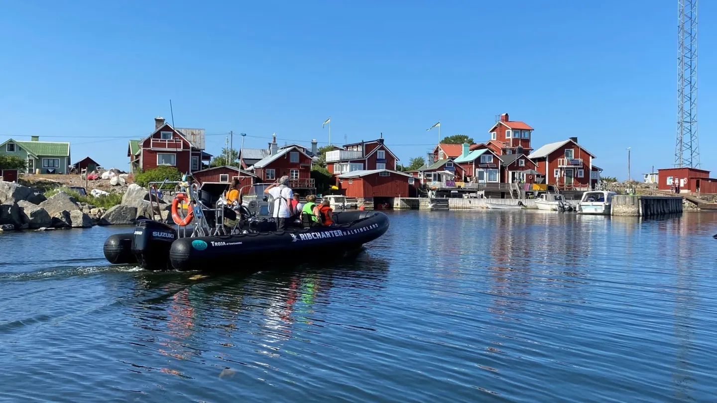 Ribbåt ute vid ön Rönnskär