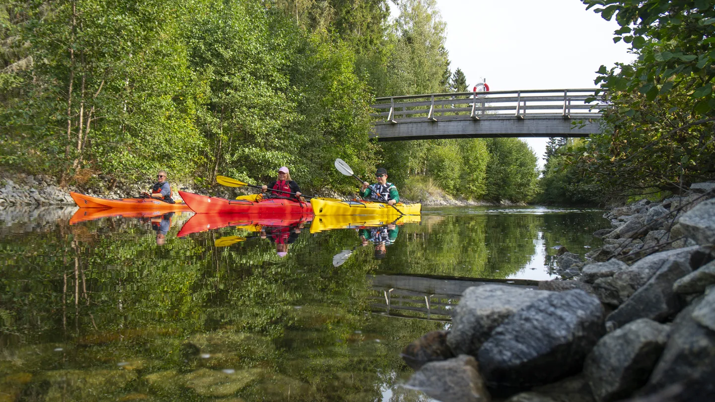 Kajaker vid Svartsundsrännan i Söderhamns skärgård