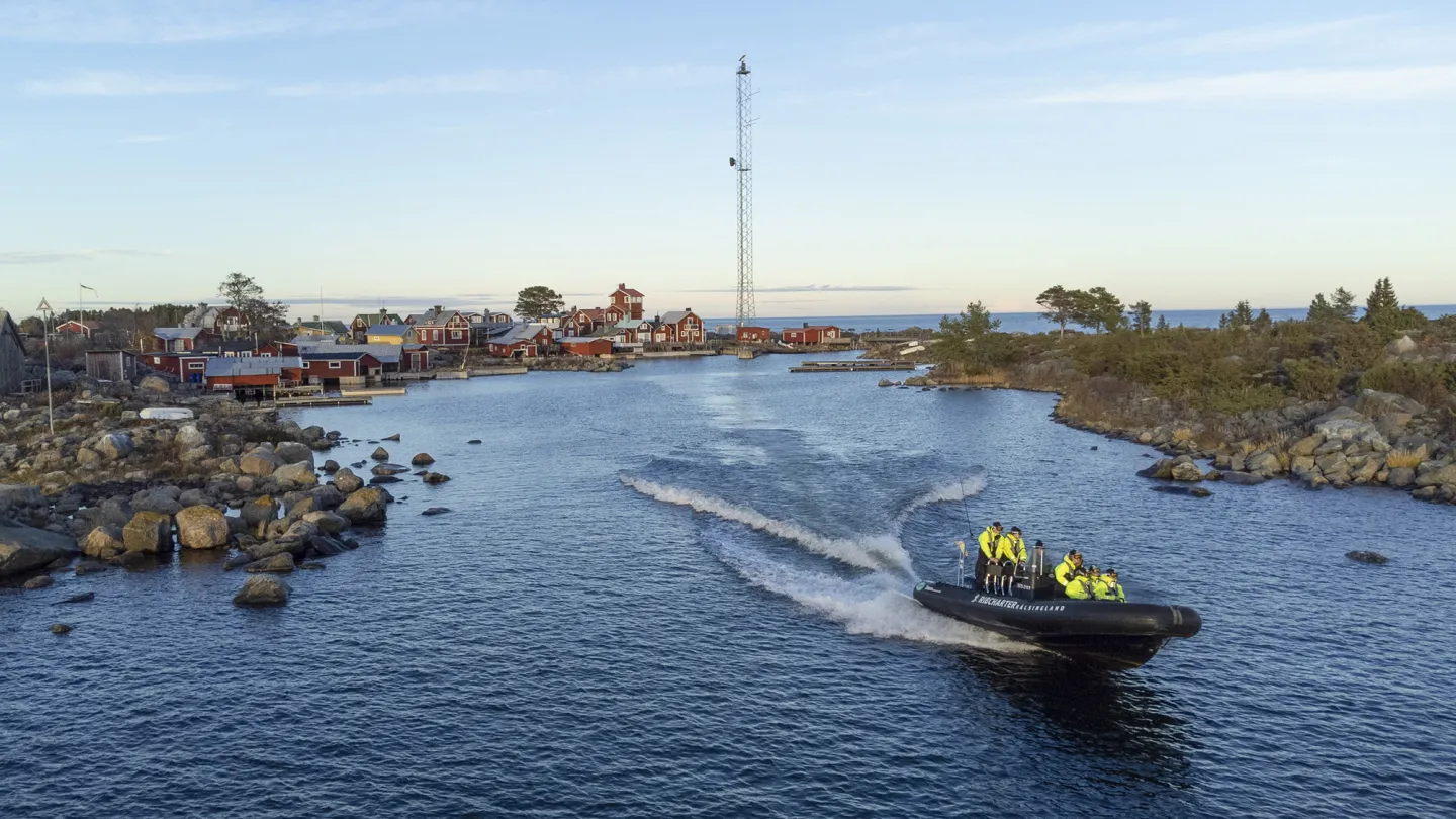 Båttur med ribbåt i Söderhamns skärgård