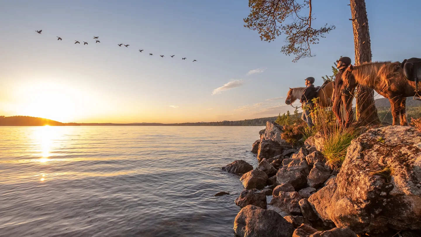 Ridtur vid sjö med solnedgång
