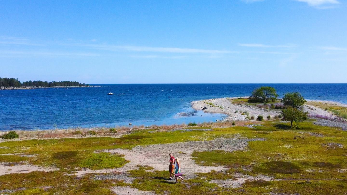Strandäng på ön Enskär