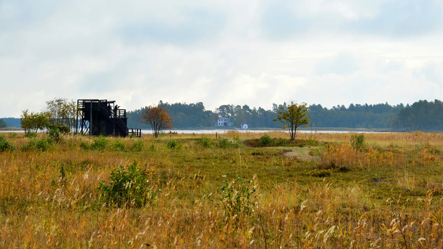 Stenöorns naturreservat