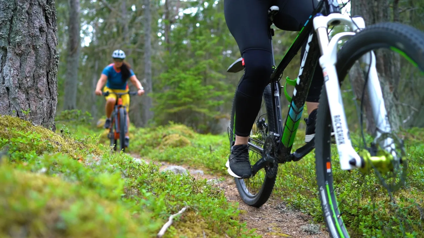Cykling i skogen